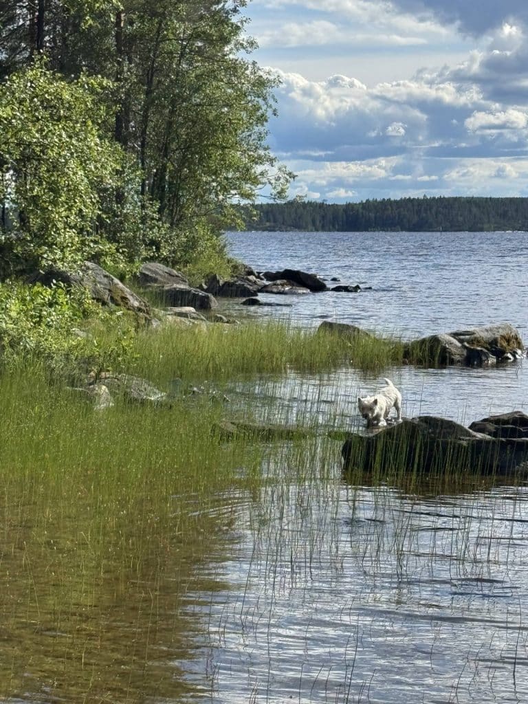 karkkipurkki blogi